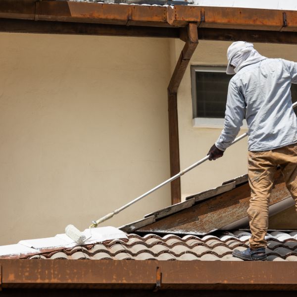 Residential roof painting